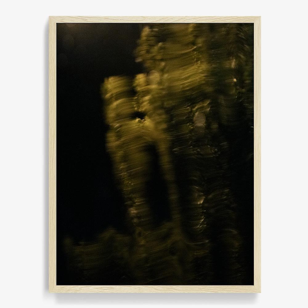 Photograph by Neil Kryszak