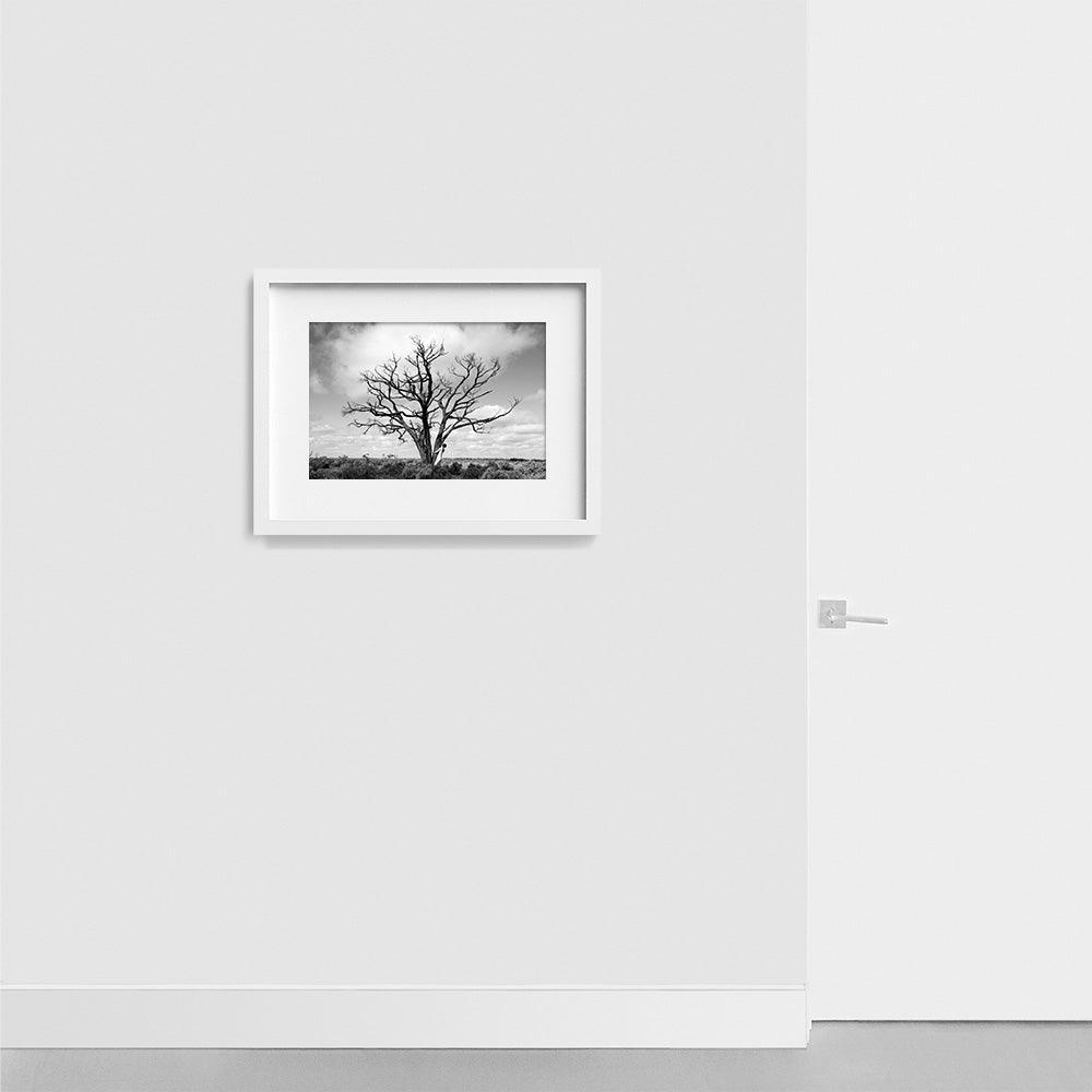 Photograph by Astrid Verhoef