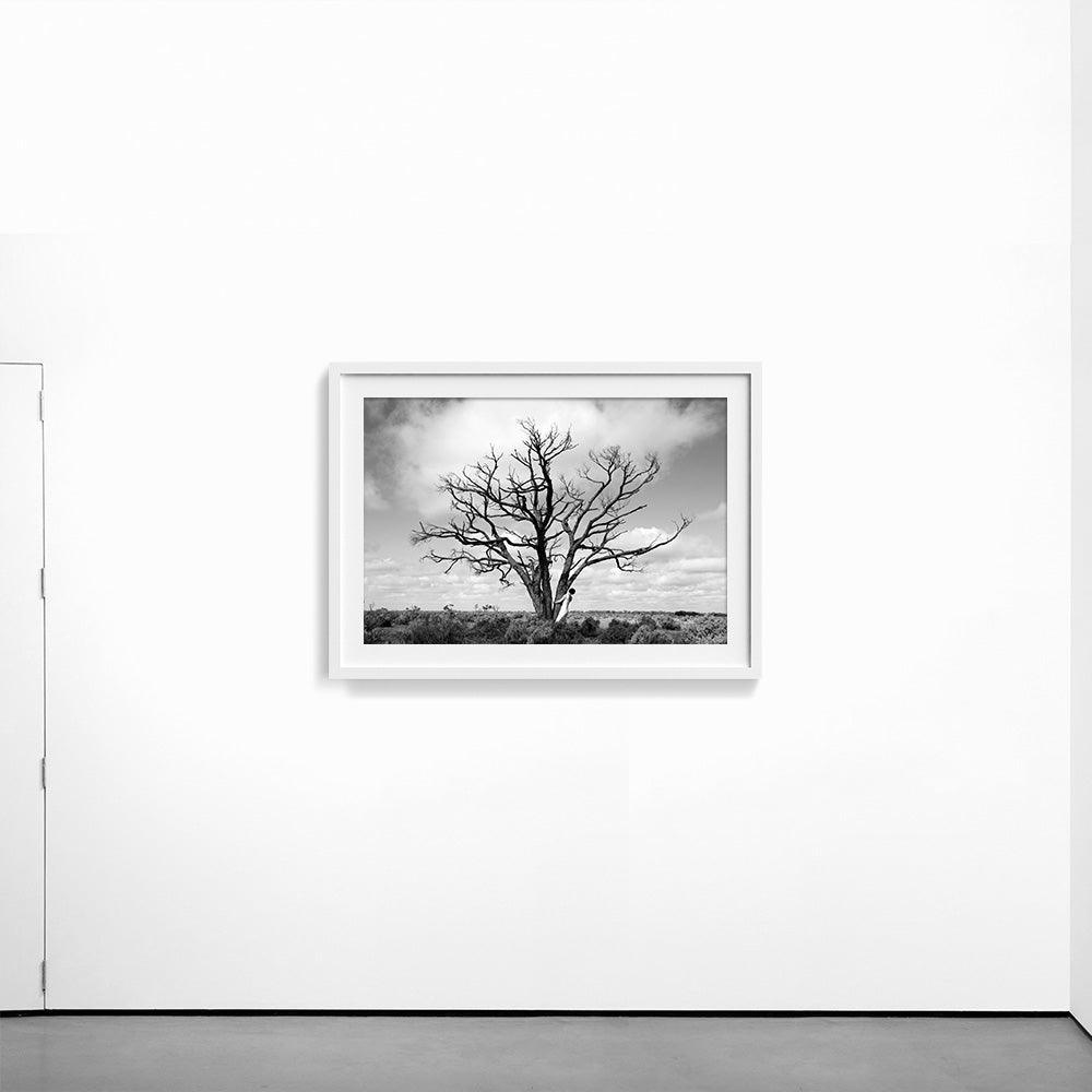 Photograph by Astrid Verhoef