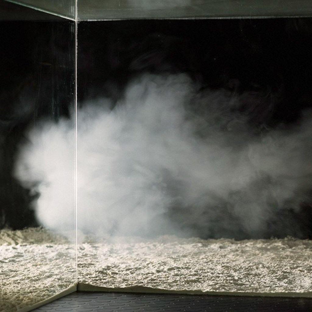Photograph by Ilka Kramer