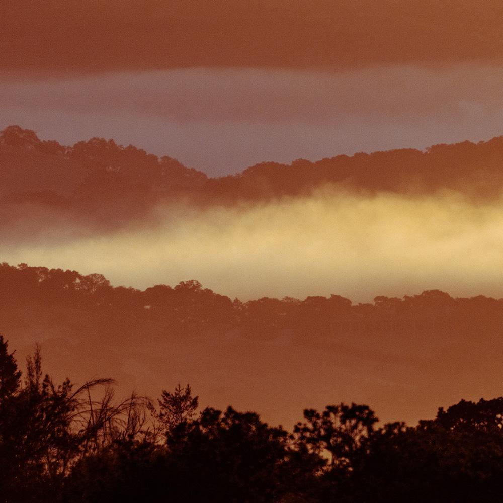 Photograph by Brian Merriam