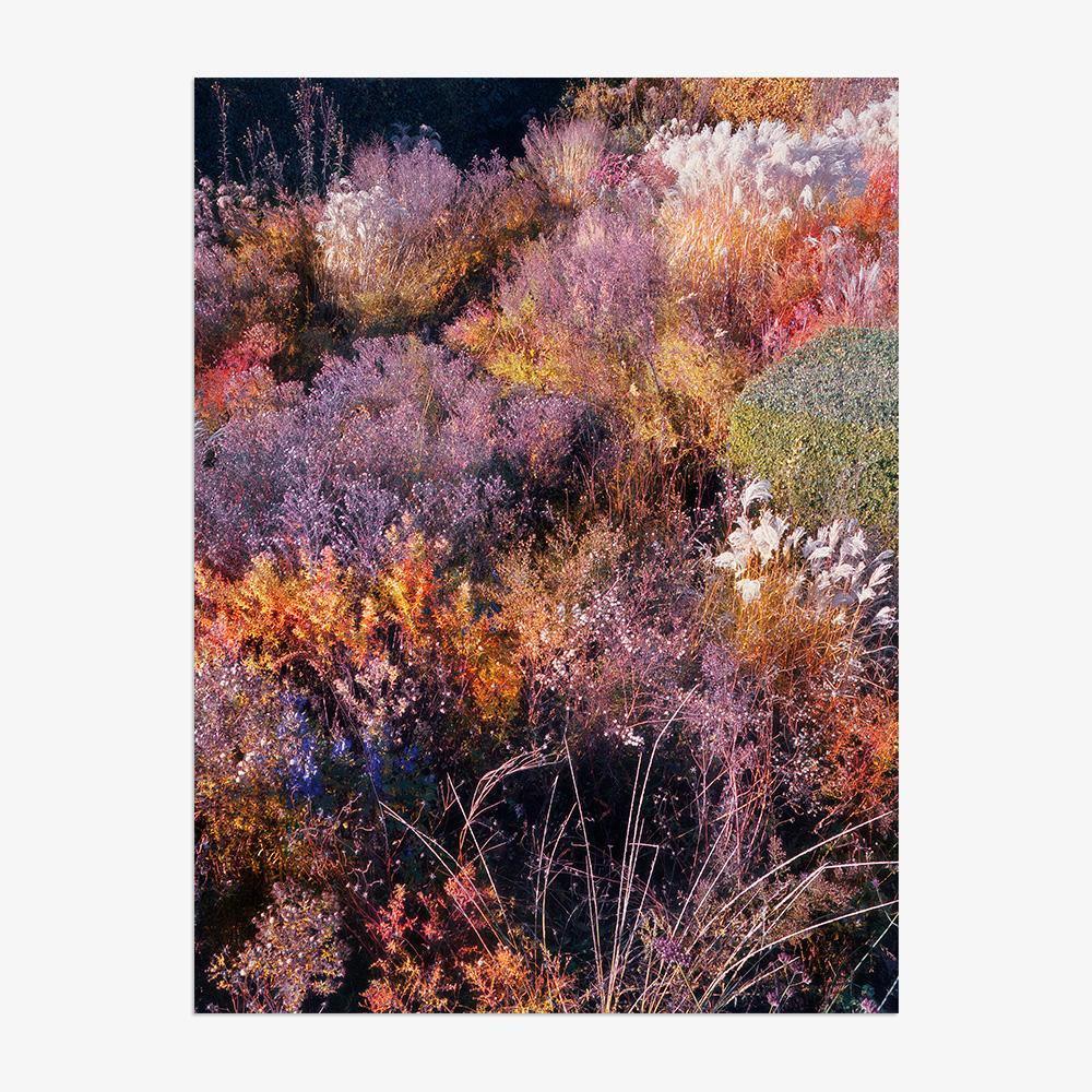 Photograph by Jacques Brun