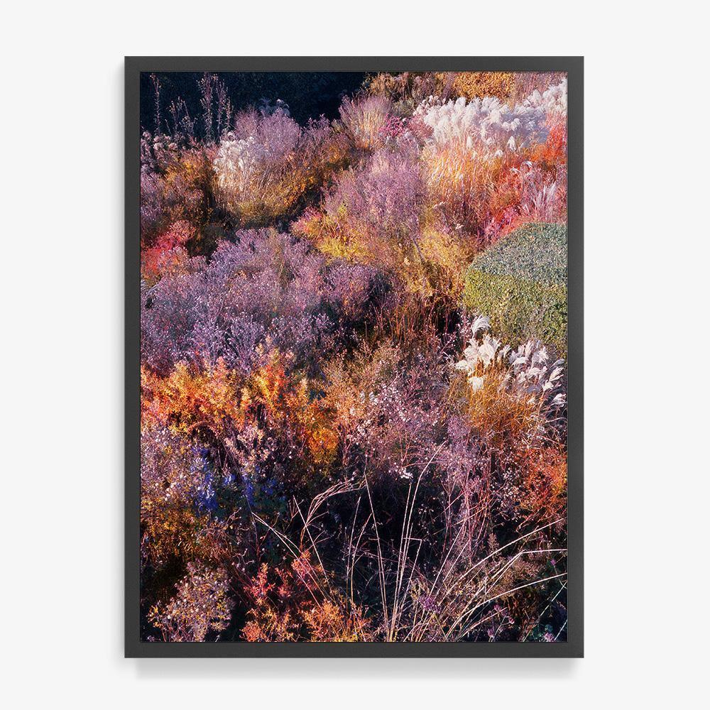 Photograph by Jacques Brun