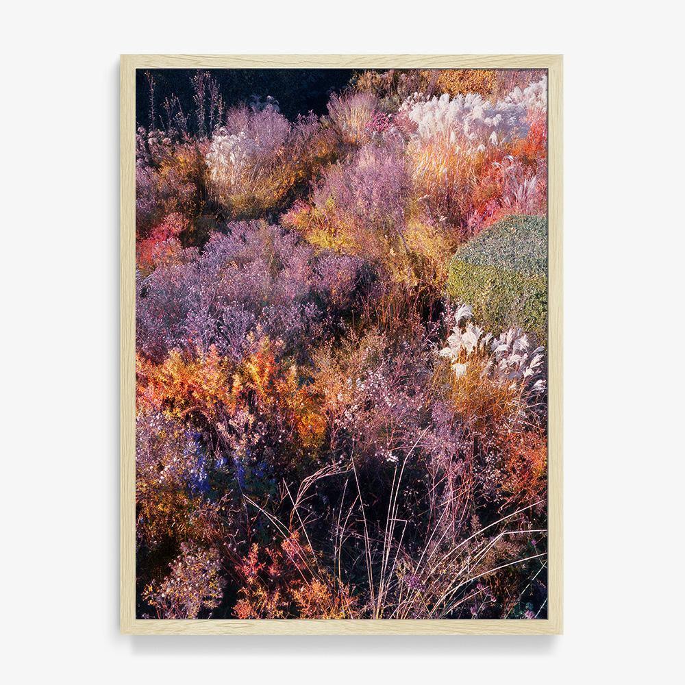 Photograph by Jacques Brun