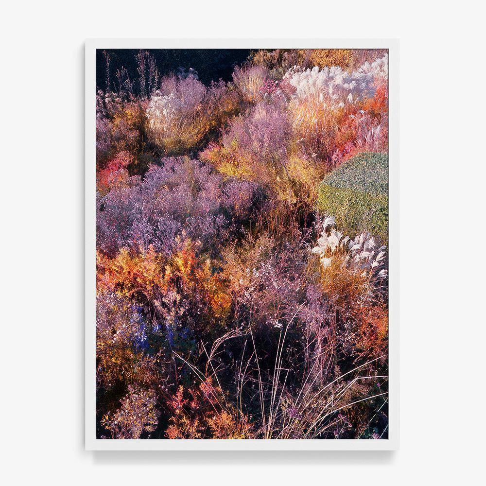 Photograph by Jacques Brun