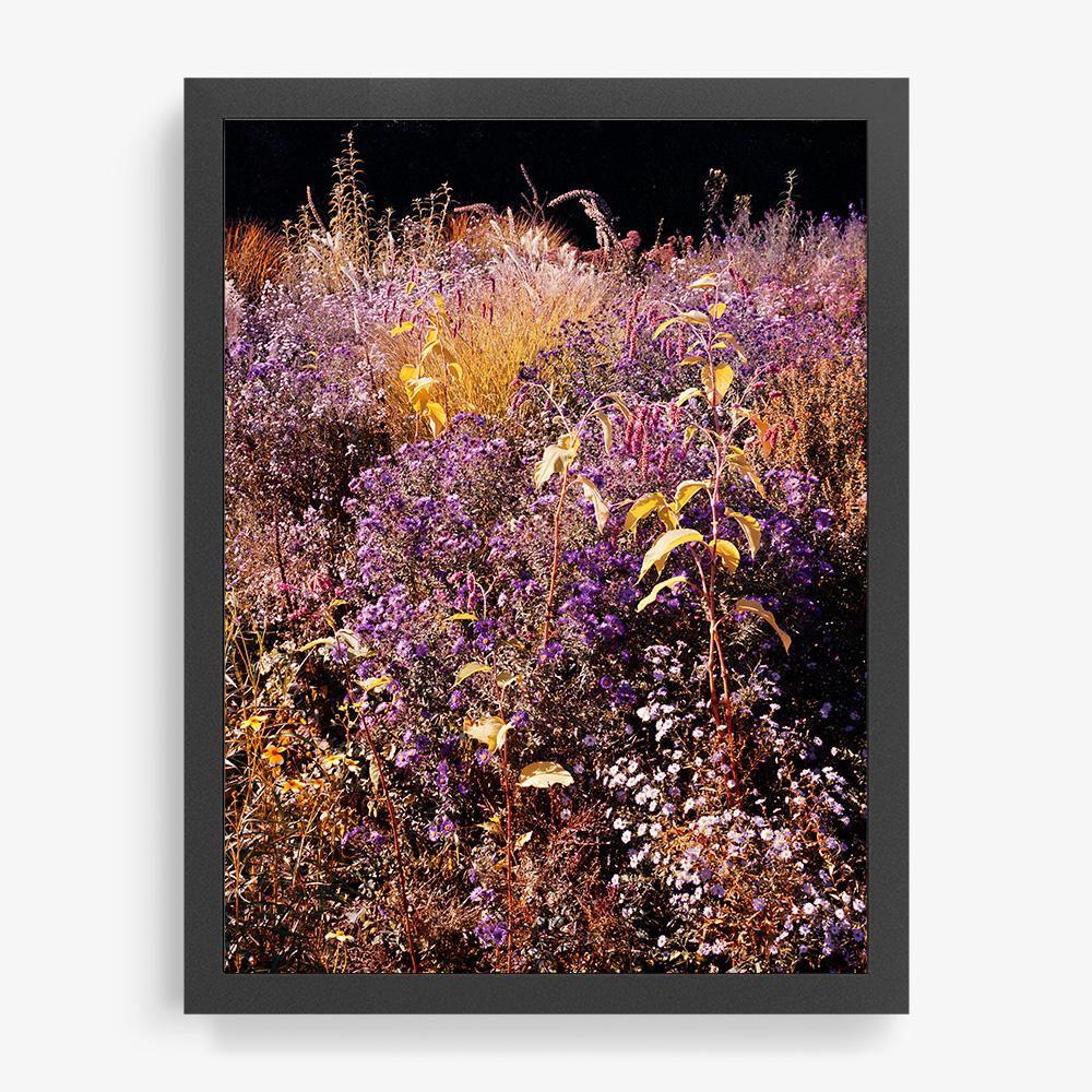 Photograph by Jacques Brun