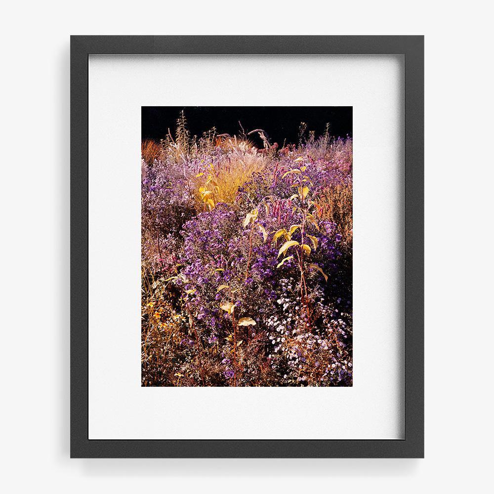 Photograph by Jacques Brun