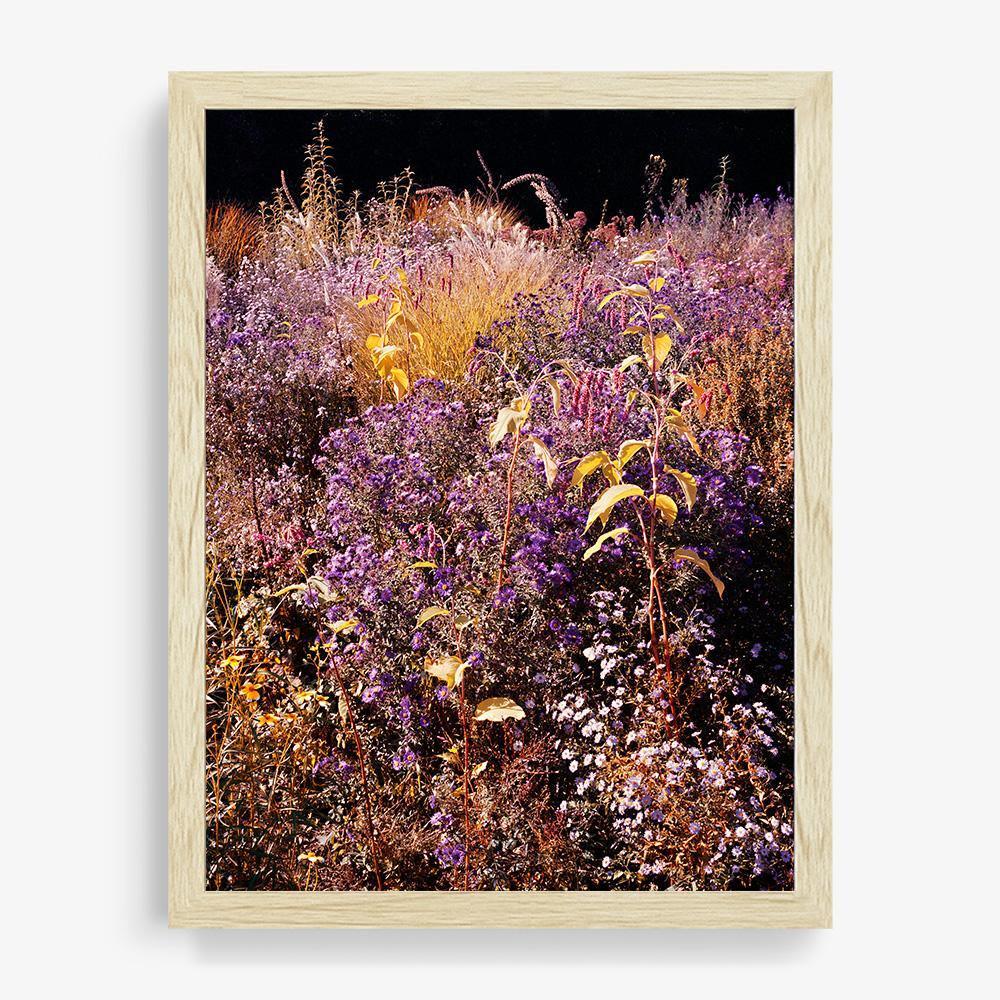 Photograph by Jacques Brun