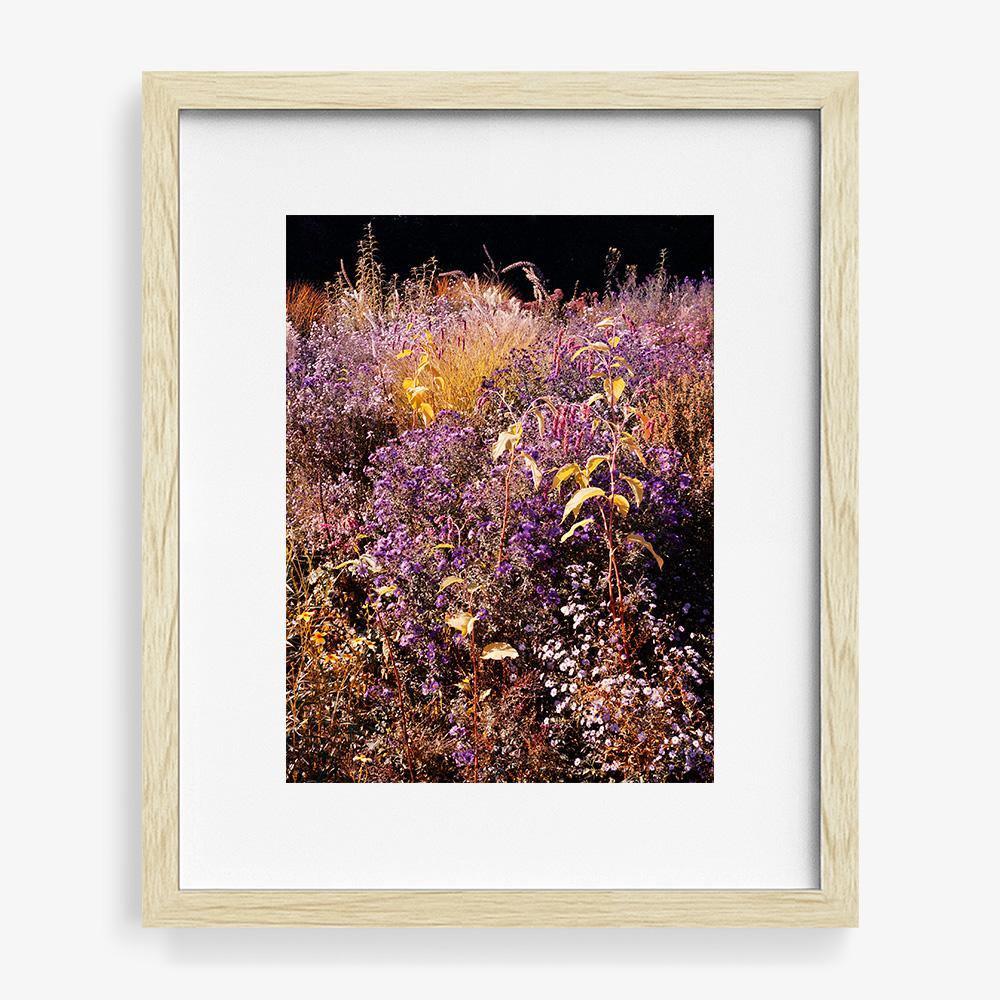 Photograph by Jacques Brun