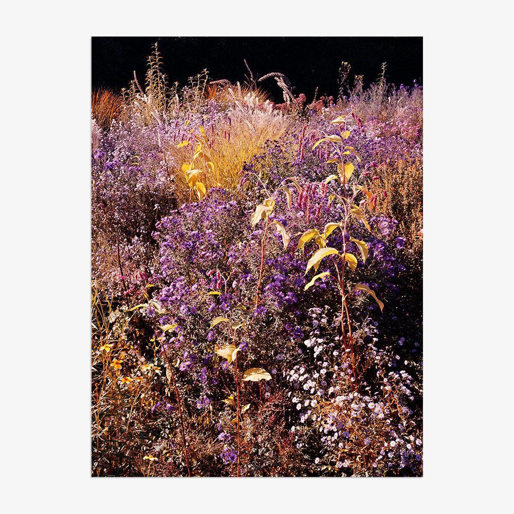 Photograph by Jacques Brun