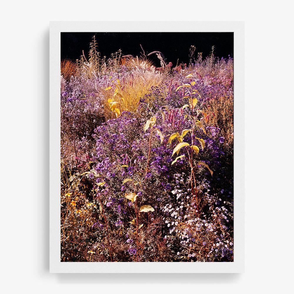 Photograph by Jacques Brun