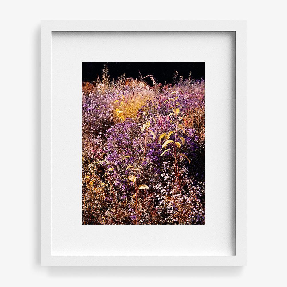 Photograph by Jacques Brun