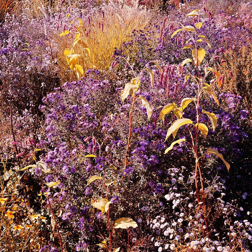 Photograph by Jacques Brun