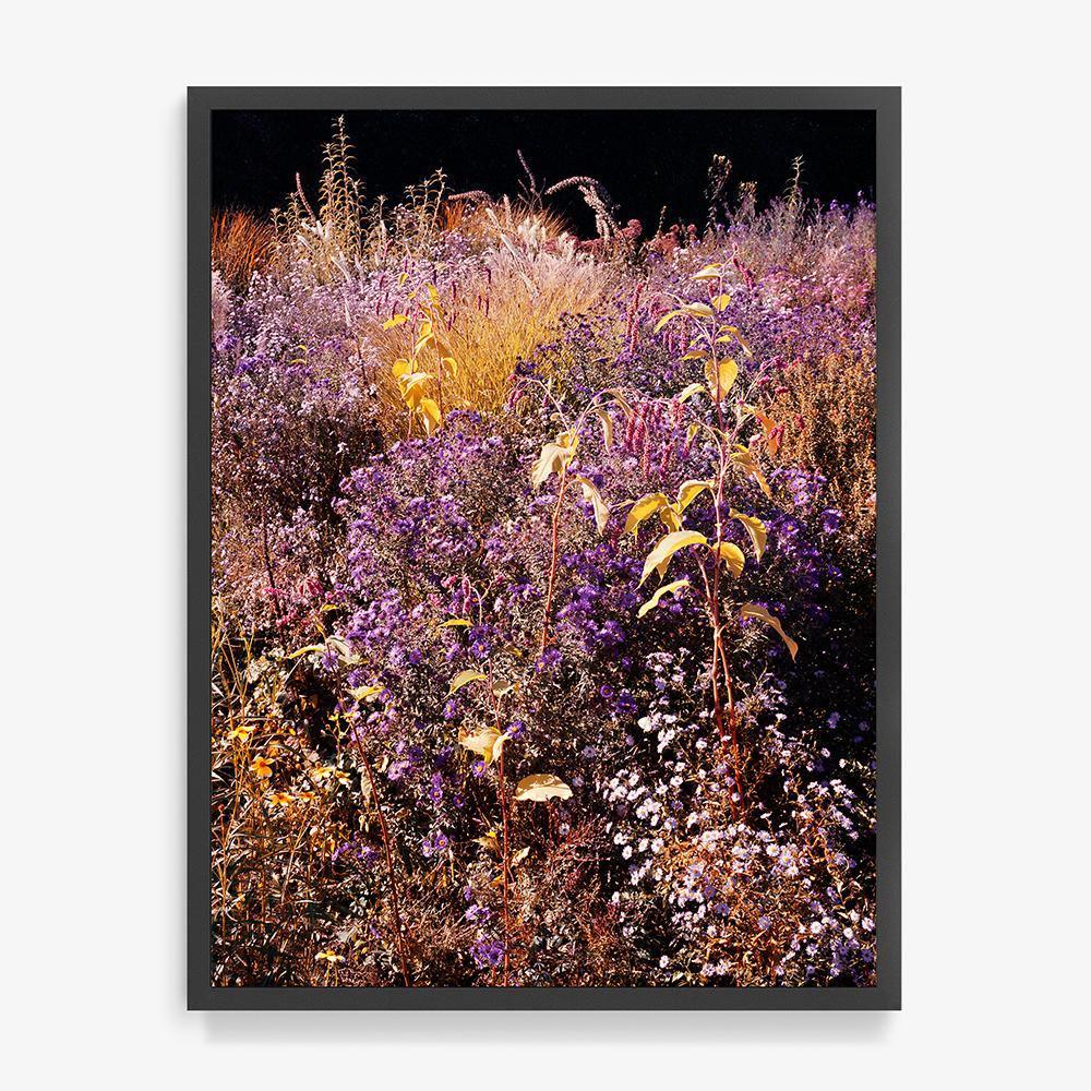 Photograph by Jacques Brun