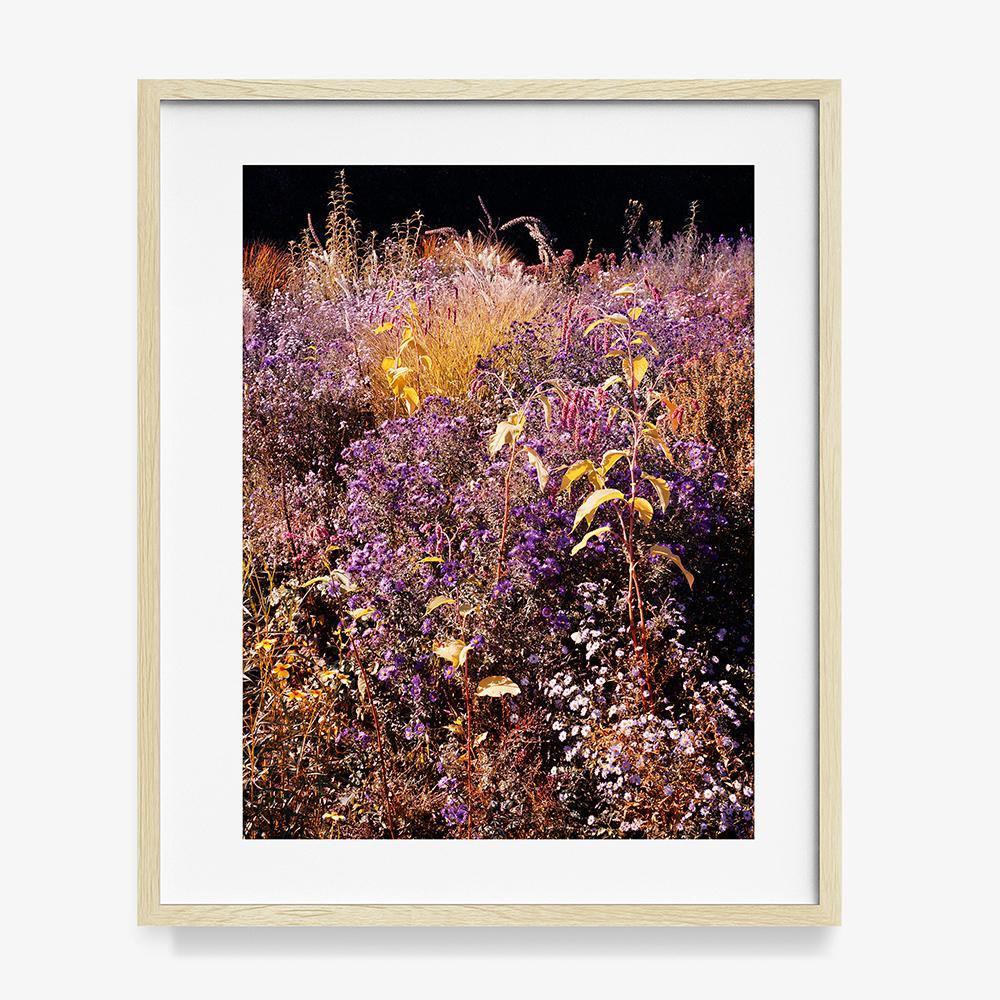 Photograph by Jacques Brun