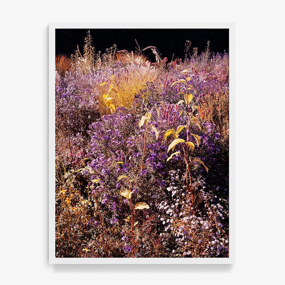 Photograph by Jacques Brun