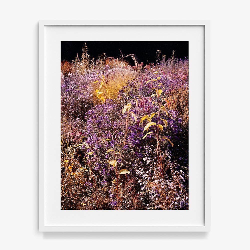 Photograph by Jacques Brun