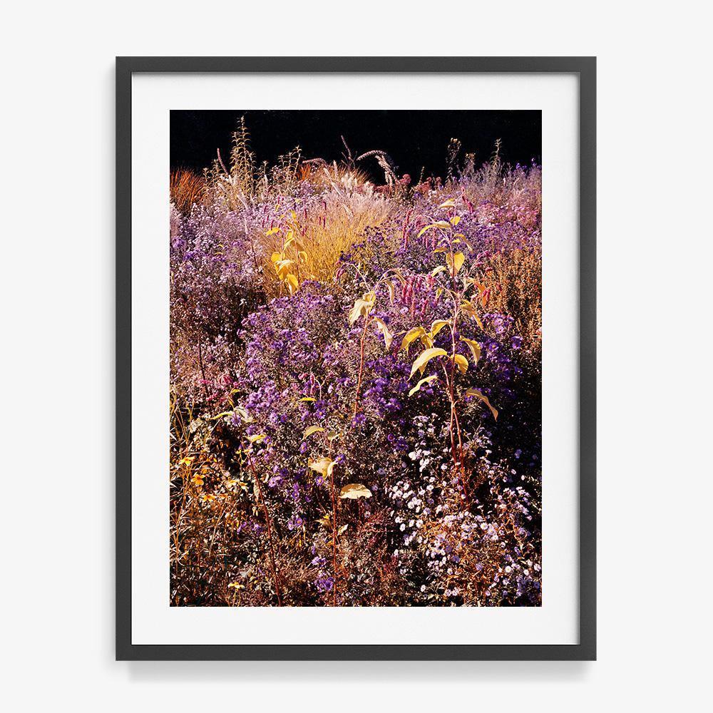 Photograph by Jacques Brun