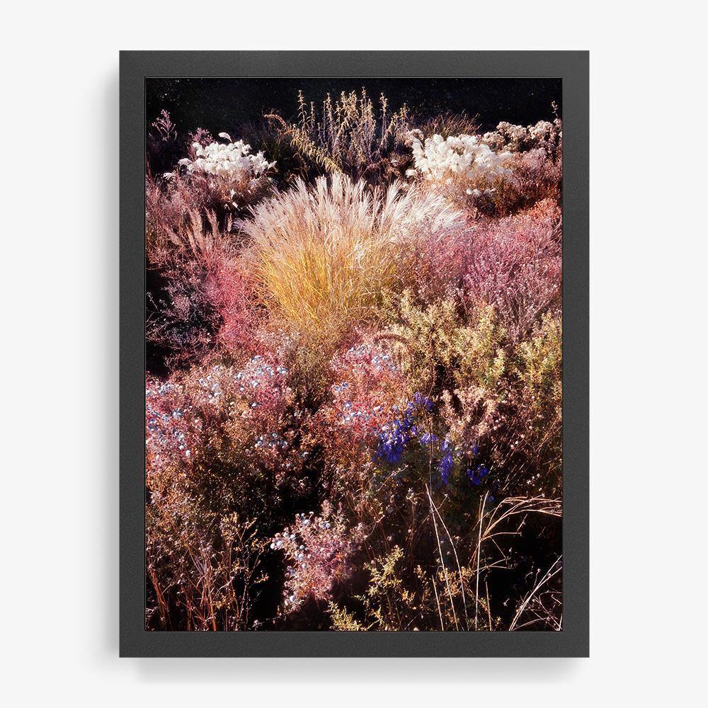 Photograph by Jacques Brun