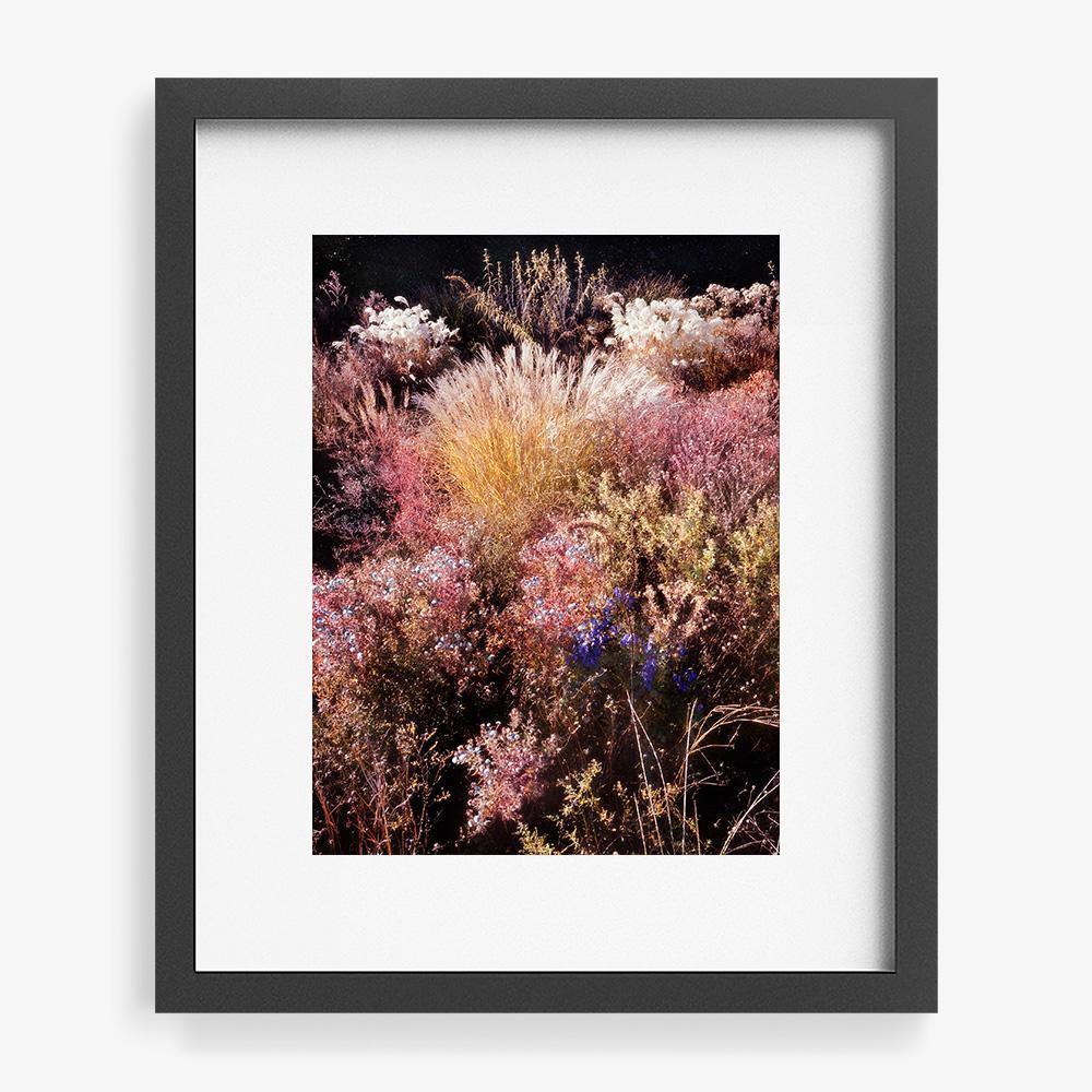 Photograph by Jacques Brun