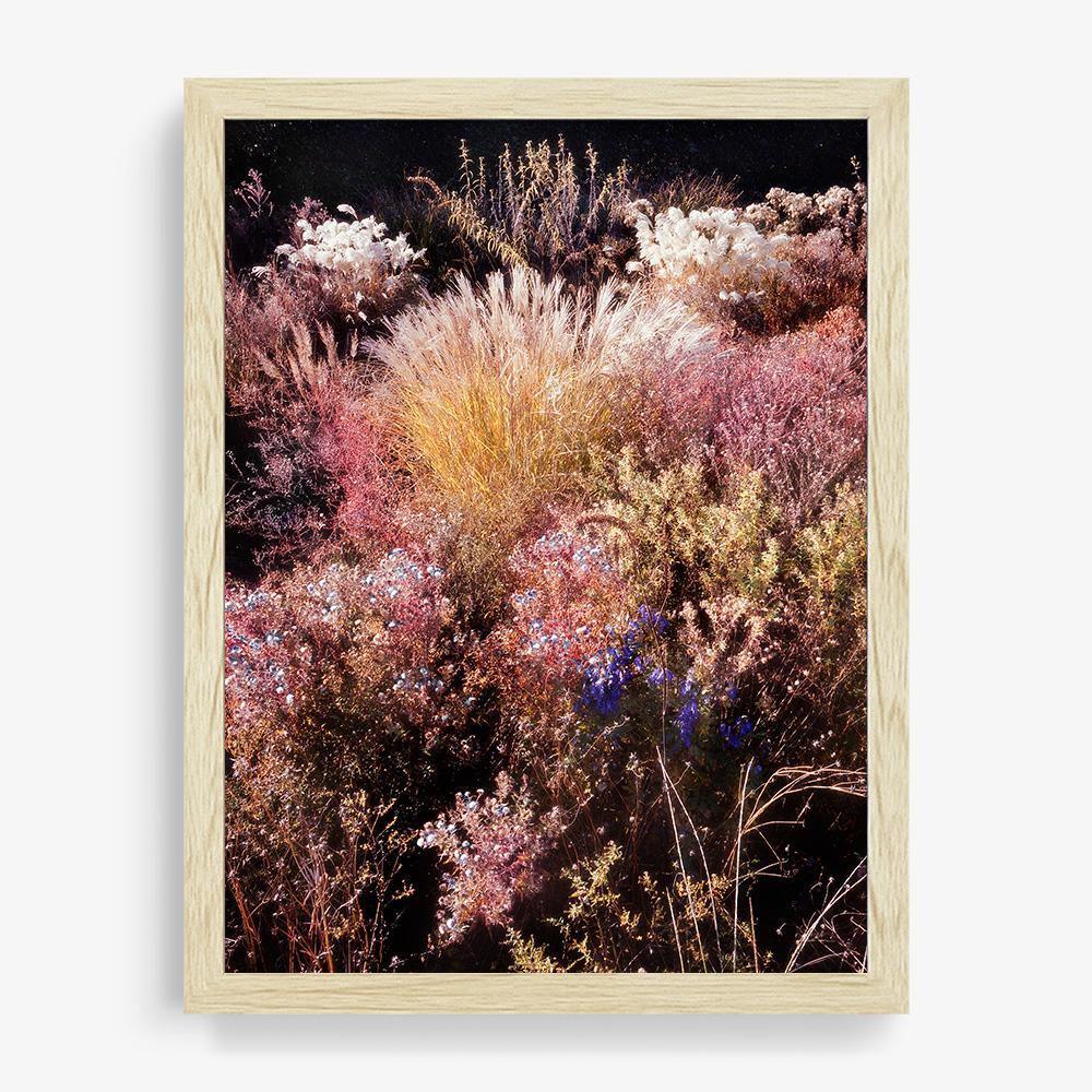 Photograph by Jacques Brun