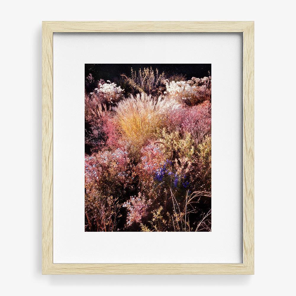 Photograph by Jacques Brun