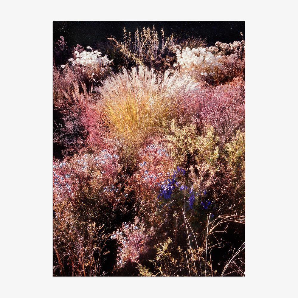 Photograph by Jacques Brun