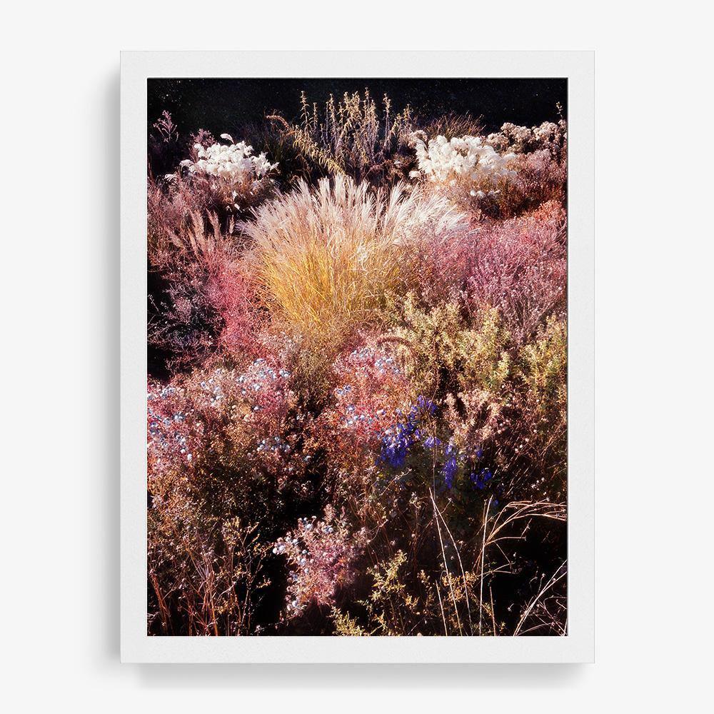 Photograph by Jacques Brun