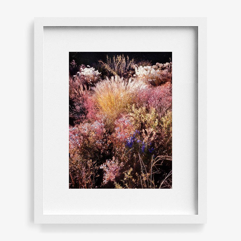 Photograph by Jacques Brun