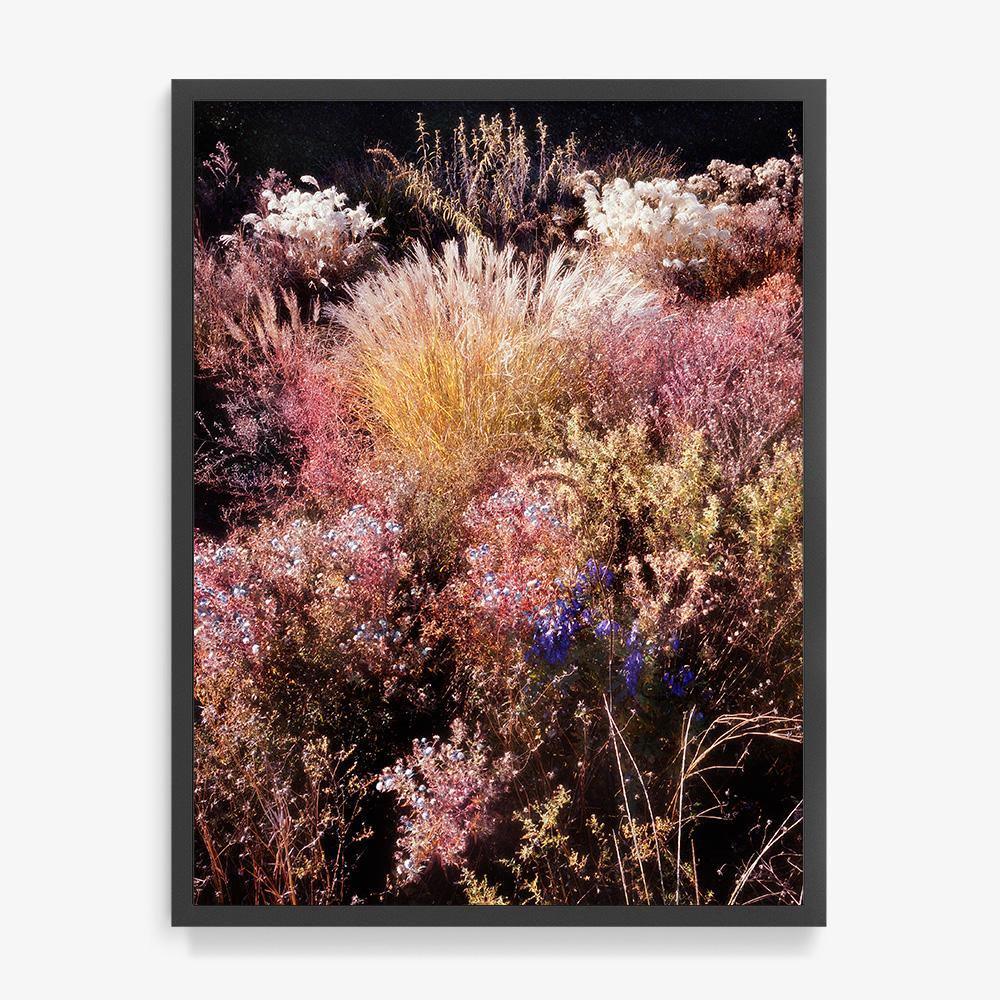 Photograph by Jacques Brun