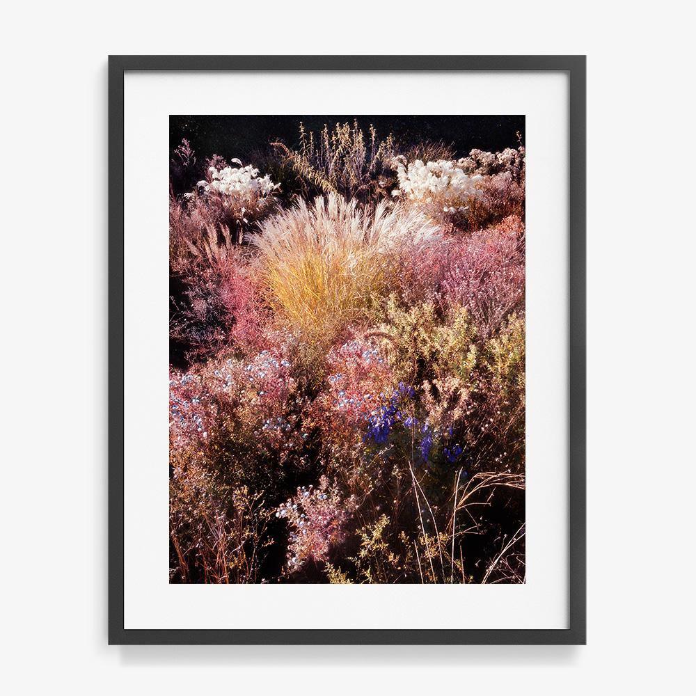 Photograph by Jacques Brun