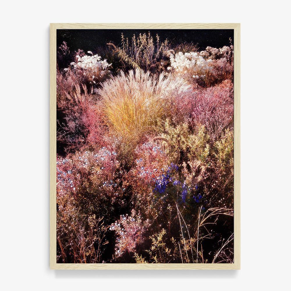 Photograph by Jacques Brun