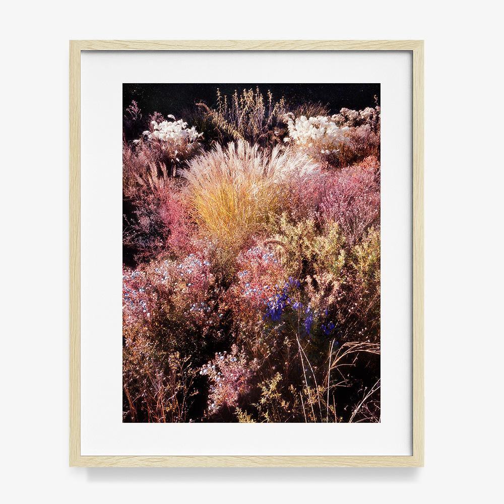 Photograph by Jacques Brun