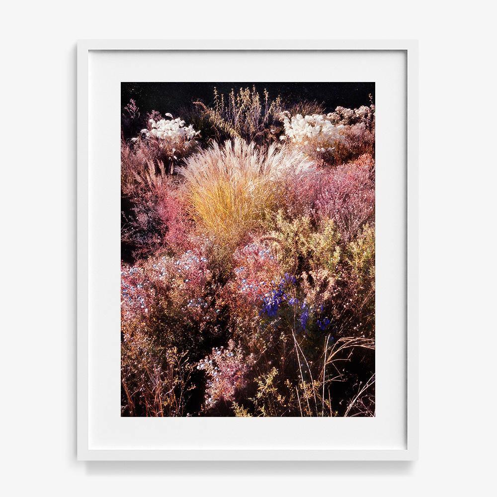 Photograph by Jacques Brun