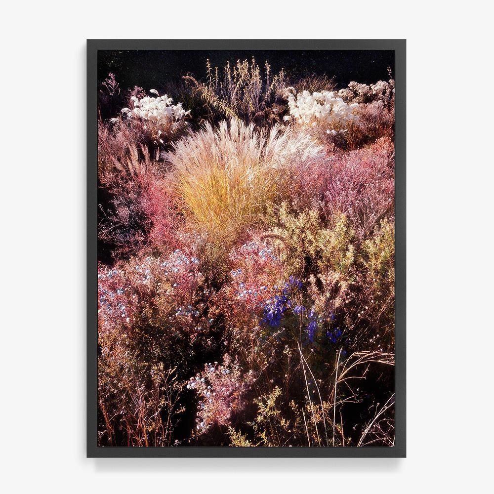 Photograph by Jacques Brun