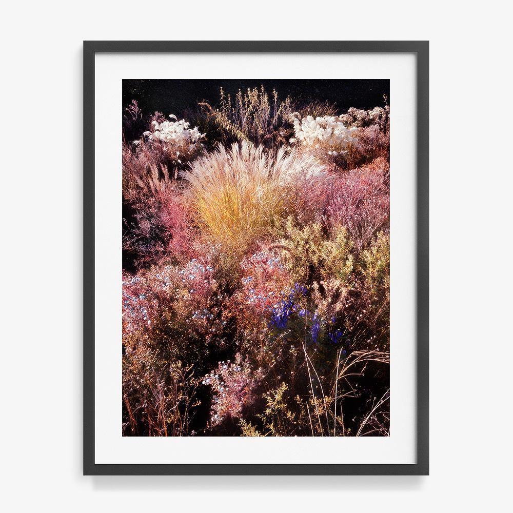 Photograph by Jacques Brun