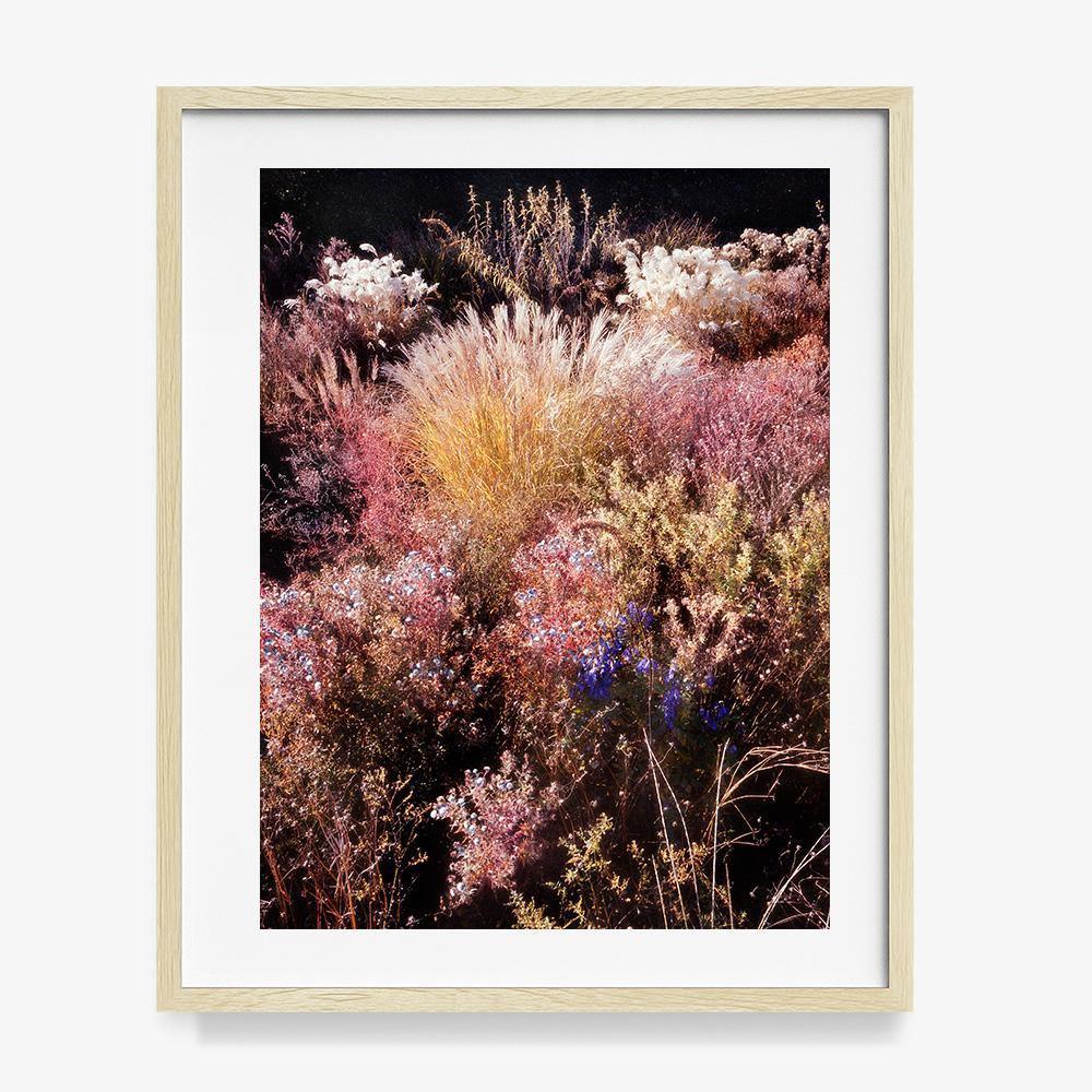 Photograph by Jacques Brun