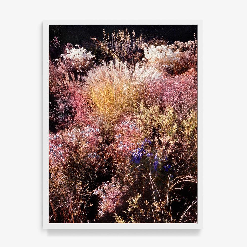 Photograph by Jacques Brun