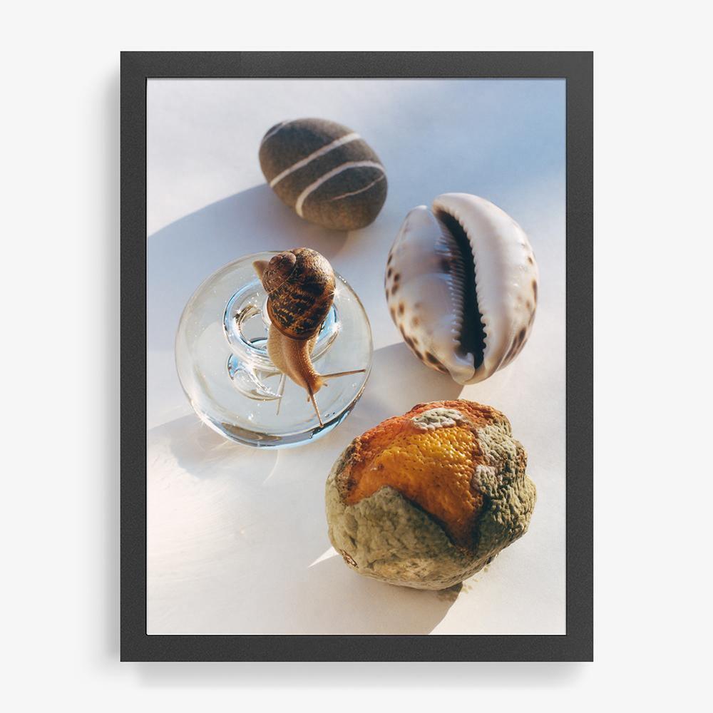 Photograph by Jacques Brun