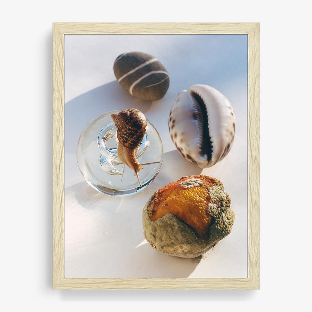 Photograph by Jacques Brun