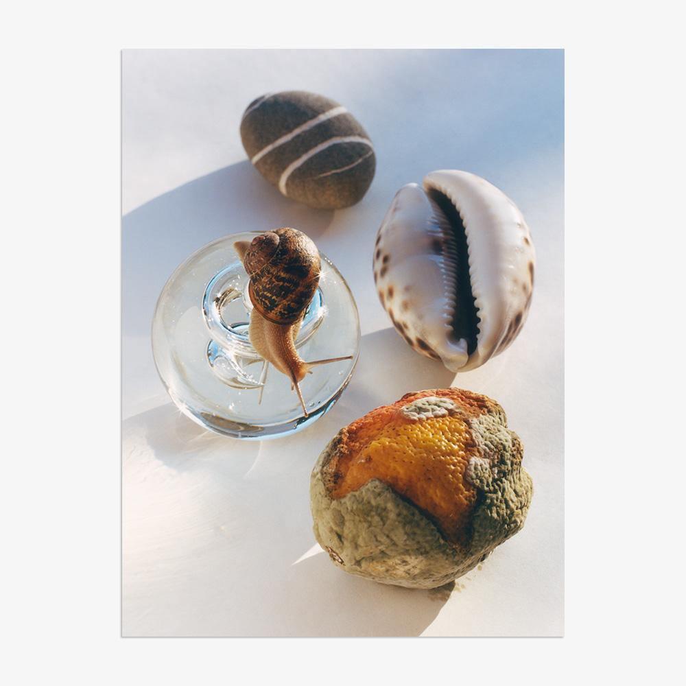 Photograph by Jacques Brun