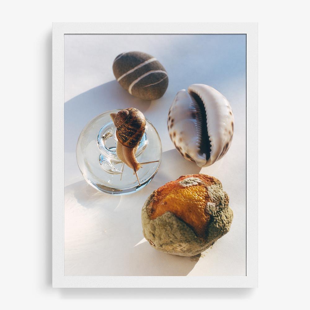 Photograph by Jacques Brun