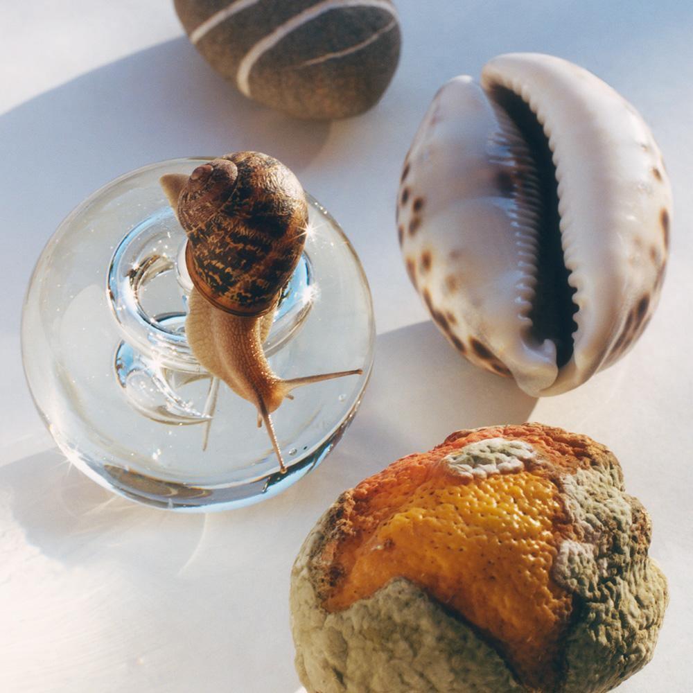 Photograph by Jacques Brun