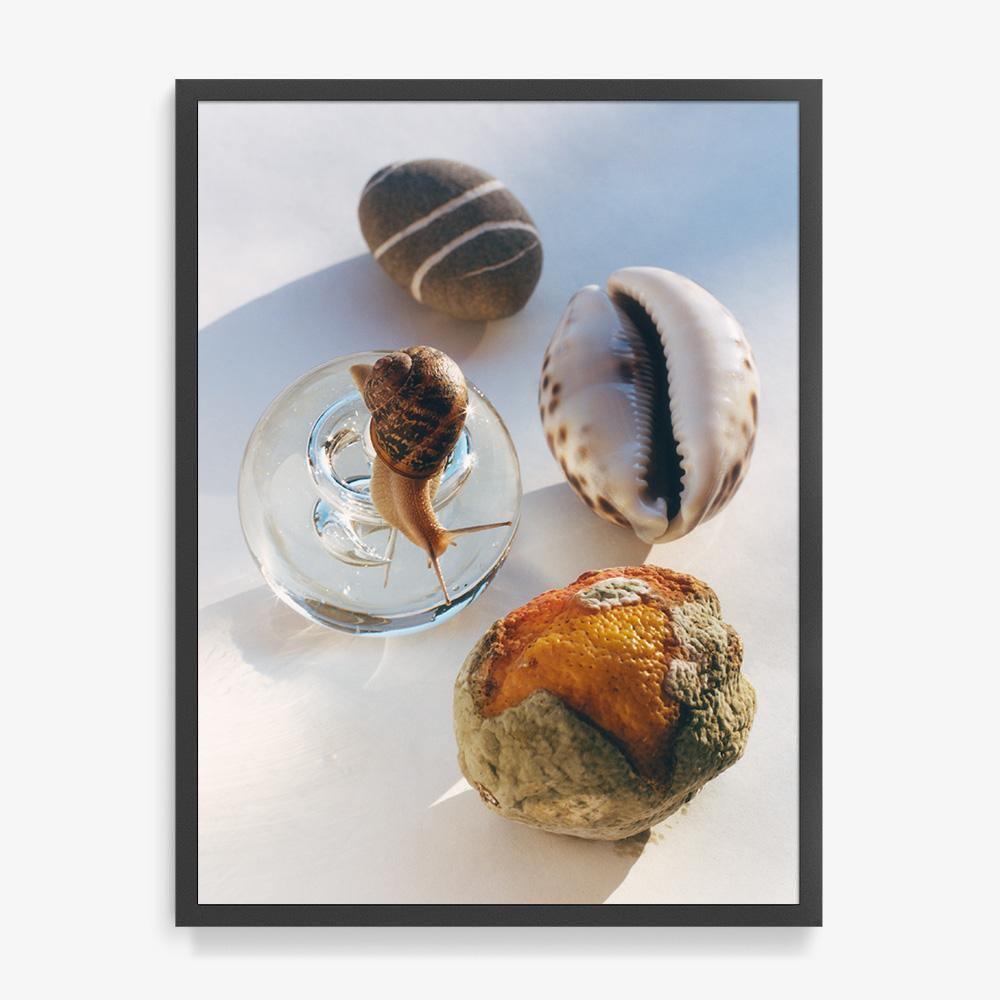 Photograph by Jacques Brun