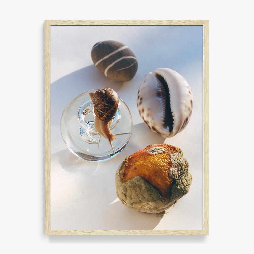 Photograph by Jacques Brun