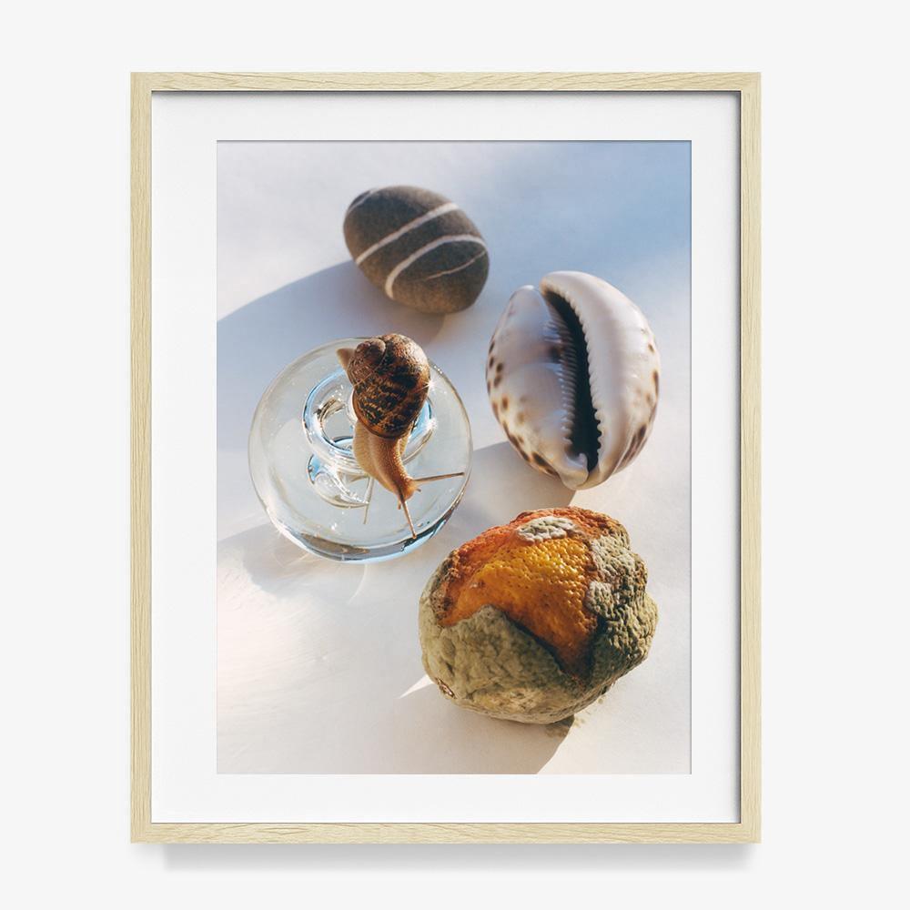 Photograph by Jacques Brun