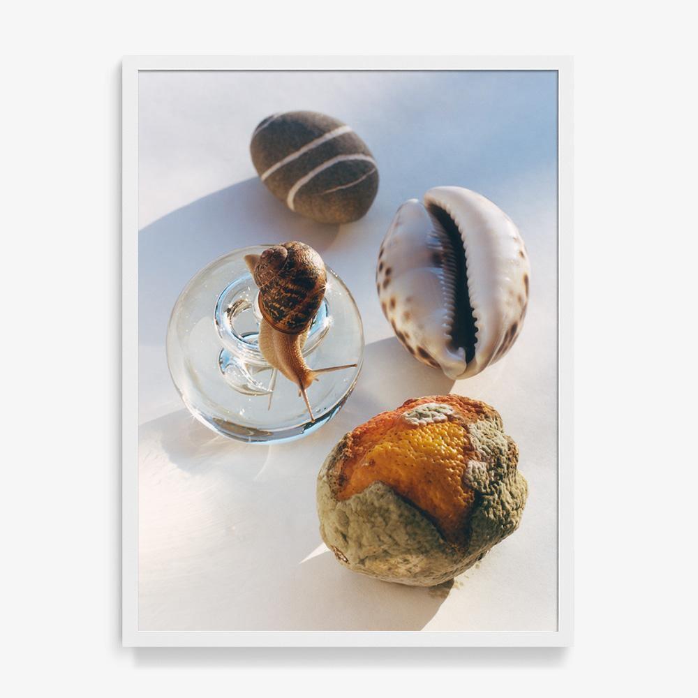 Photograph by Jacques Brun