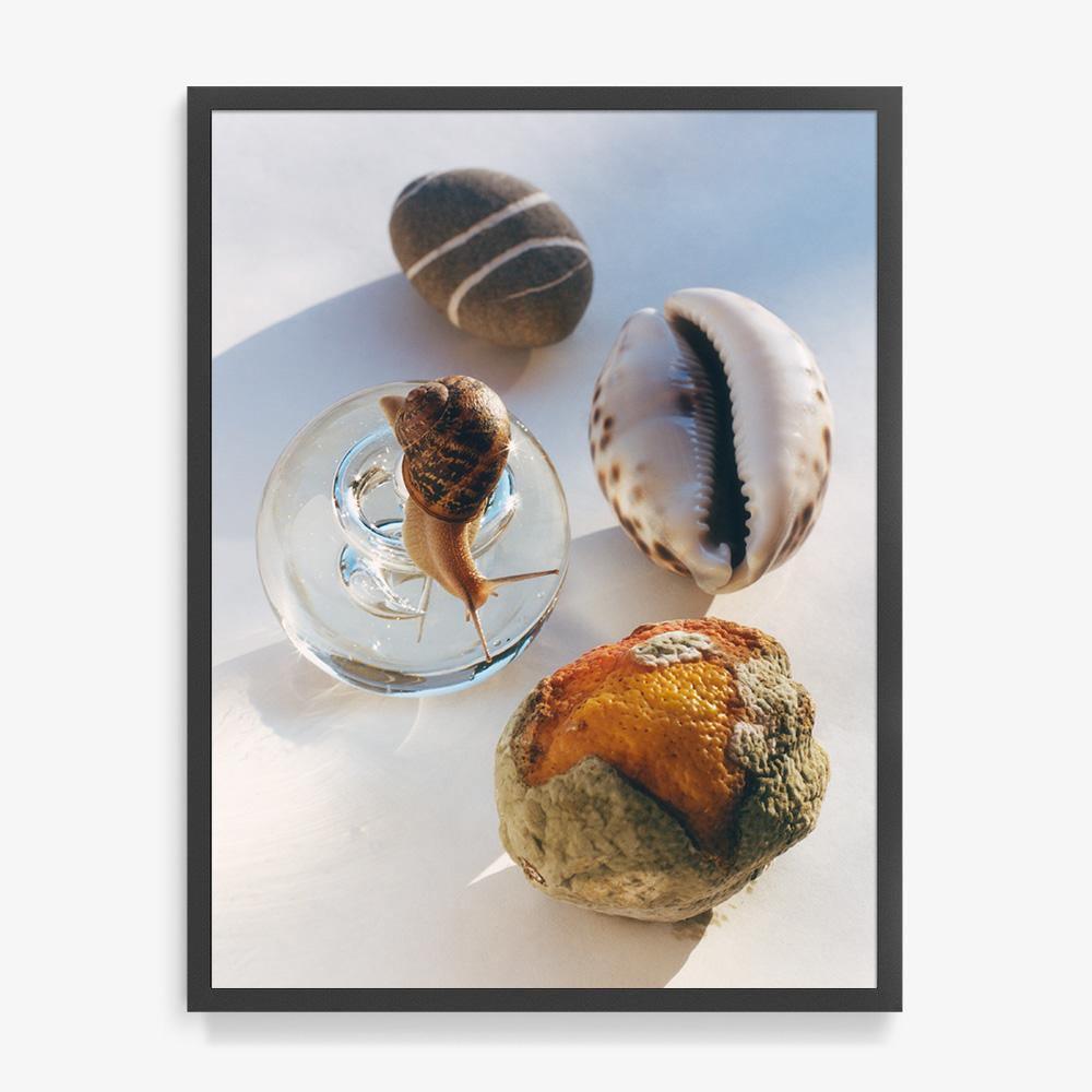 Photograph by Jacques Brun