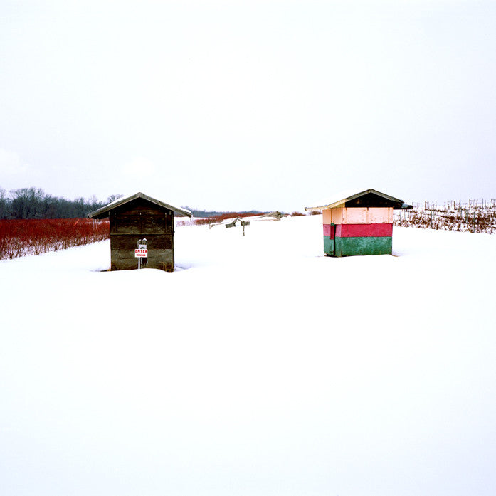 Orchard , Photograph by Orchard Tappan