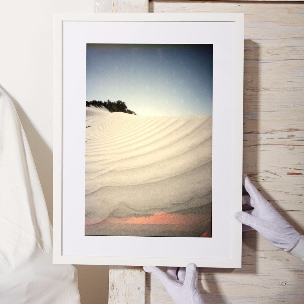 Ribbed Wonder, Photograph by Ribbed Wonder Tappan